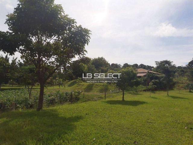 Sítio e chácara venda em Região Geográfica Imediata de Uberlândia, Indianópolis