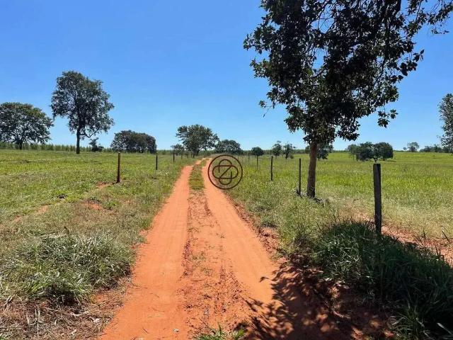 Sítio e chácara venda em Região Geográfica Imediata de Paranaíba - Chapadão do Sul - Cassilândia, Inocência