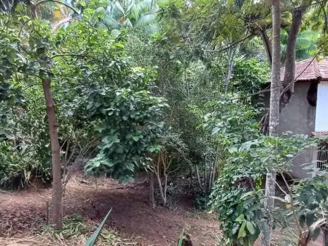 Sítio e chácara venda em Região Geográfica Imediata de Ipatinga, Ipaba
