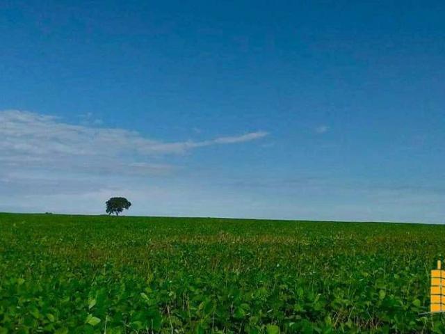 Sítio e chácara venda em Centro, Ipameri