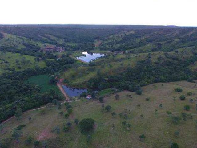 Sítio e chácara venda em Vila Estrela 1, Ipameri