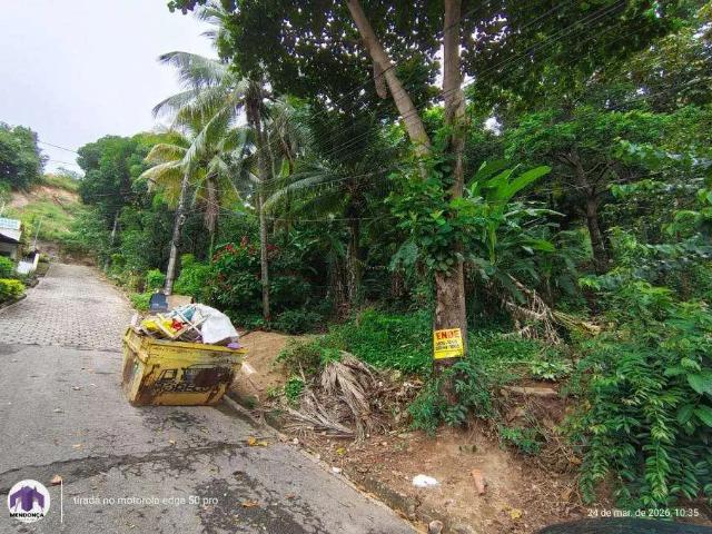 Sítio e chácara venda em Região Geográfica Imediata de Ipatinga, Região Metropolitana do Vale do Aço