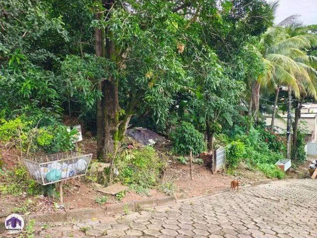 Sítio e chácara venda em Região Geográfica Imediata de Ipatinga, Região Metropolitana do Vale do Aço