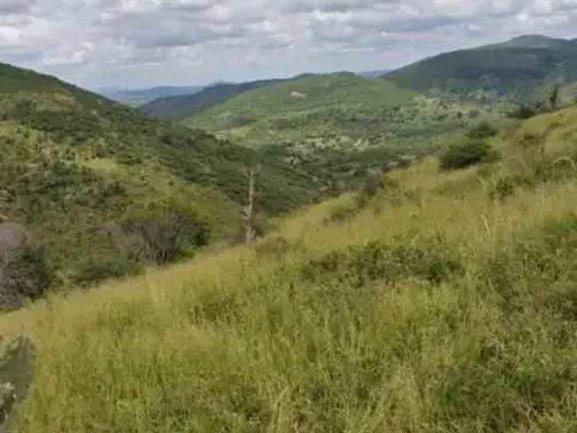 Sítio e chácara venda em Região Geográfica Imediata de Feira de Santana, Região Metropolitana de Feira de Santana