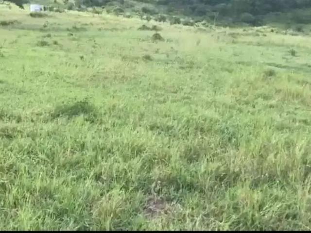 Sítio e chácara venda em Região Geográfica Imediata de Feira de Santana, Região Metropolitana de Feira de Santana