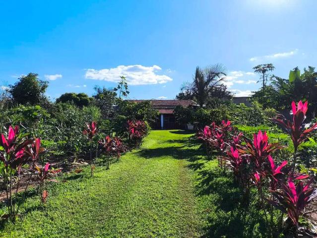 Sítio e chácara venda em Vila Amélia, Iperó