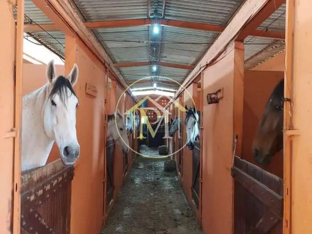 Sítio e chácara venda em Iperó