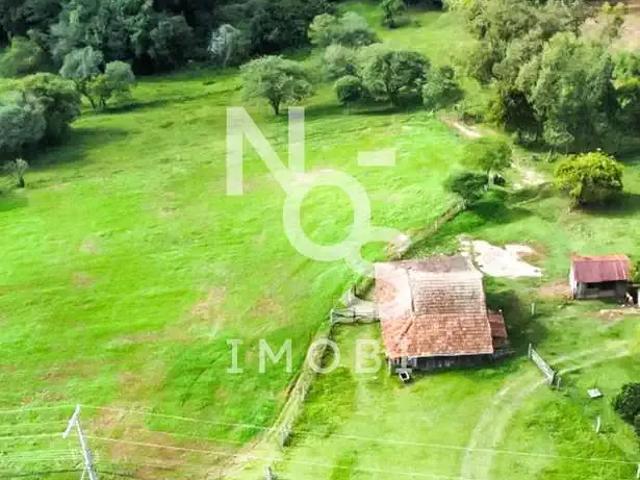 Sítio e chácara venda em Região Geográfica Imediata de Caxias do Sul, Ipê