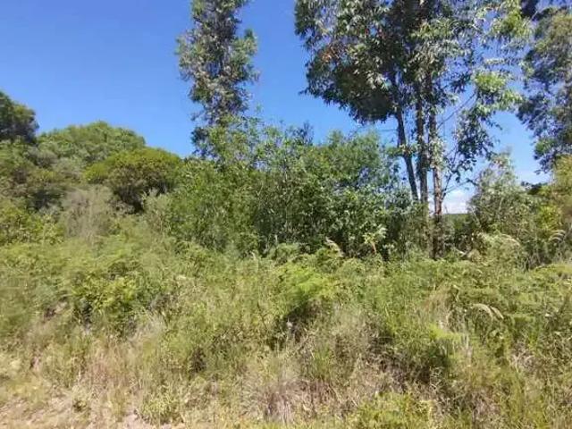 Sítio e chácara venda em Região Geográfica Imediata de Caxias do Sul, Ipê
