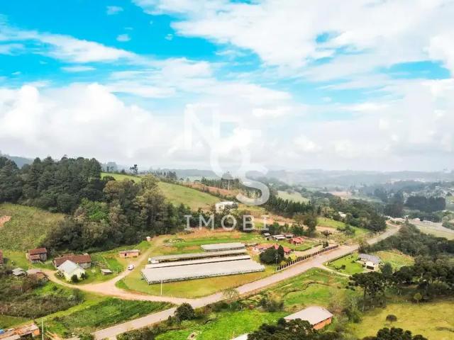 Sítio e chácara venda em Região Geográfica Imediata de Caxias do Sul, Ipê
