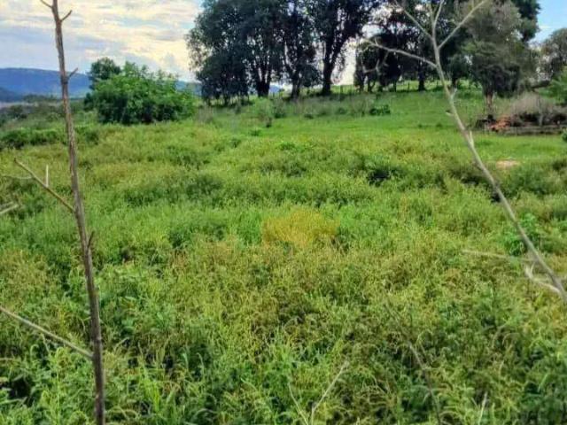 Sítio e chácara venda em Ipeúna