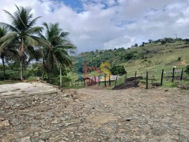 Sítio e chácara venda em Ipiaú, Região Nordeste