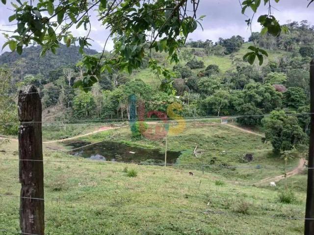 Sítio e chácara venda em Ipiaú, Região Nordeste