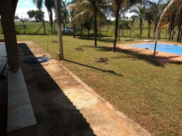 Sítio e chácara venda em Região Imediata de São José do Rio Preto, Região Metropolitana de São José do Rio Preto