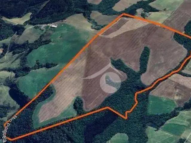 Sítio e chácara venda em Região Geográfica Imediata de Ponta Grossa, Ipiranga