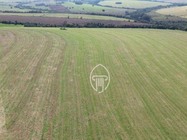 Sítio e chácara venda em Iporã, Região Geográfica Intermediária de Maringá