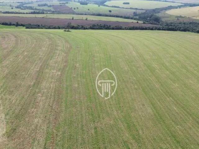 Sítio e chácara venda em Região Geográfica Imediata de Umuarama, Região Metropolitana de Umuarama
