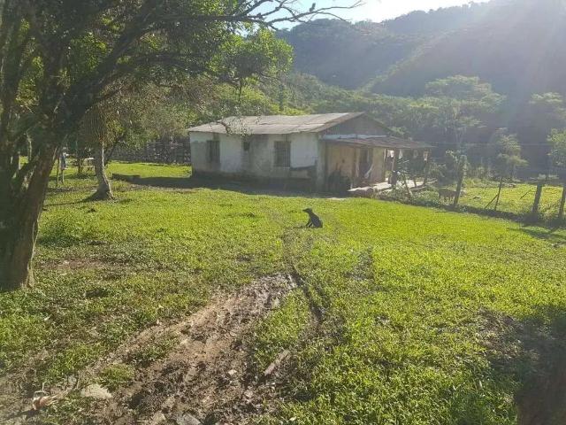Sítio e chácara venda em Região Imediata de Registro, Iporanga