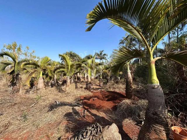 Sítio e chácara venda em Região Imediata de Limeira, Região Metropolitana de Piracicaba