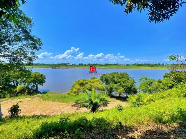 Sítio e chácara venda em Região Geográfica Imediata de Manaus, Caapiranga