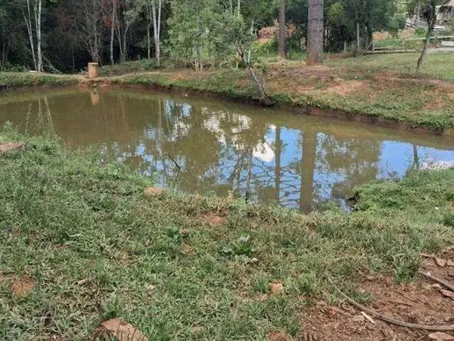 Sítio e chácara venda em Região Geográfica Imediata de Irati, Irati