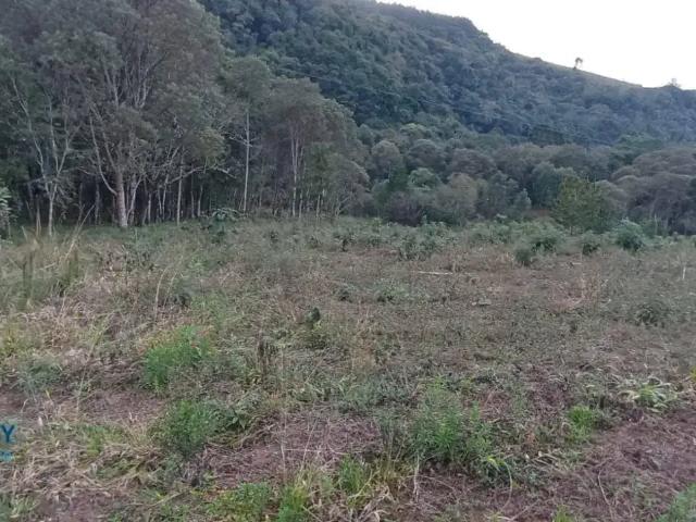Sítio e chácara venda em Região Geográfica Imediata de Irati, Irati