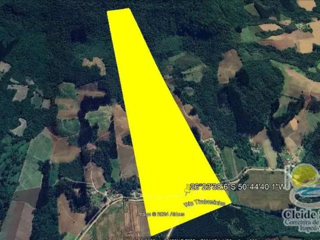 Sítio e chácara venda em Região Geográfica Imediata de Mafra, Irineópolis
