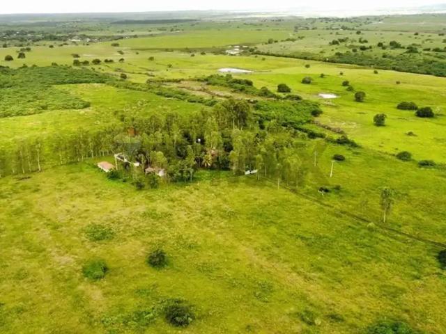 Sítio e chácara venda em Região Geográfica Imediata de Itabaiana, Região Metropolitana de Itabaiana