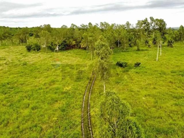 Sítio e chácara venda em Região Geográfica Imediata de Itabaiana, Região Metropolitana de Itabaiana