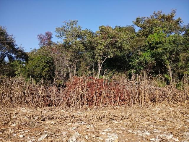 Sítio e chácara venda em Itaberaí, Região Geográfica Intermediária de Goiânia