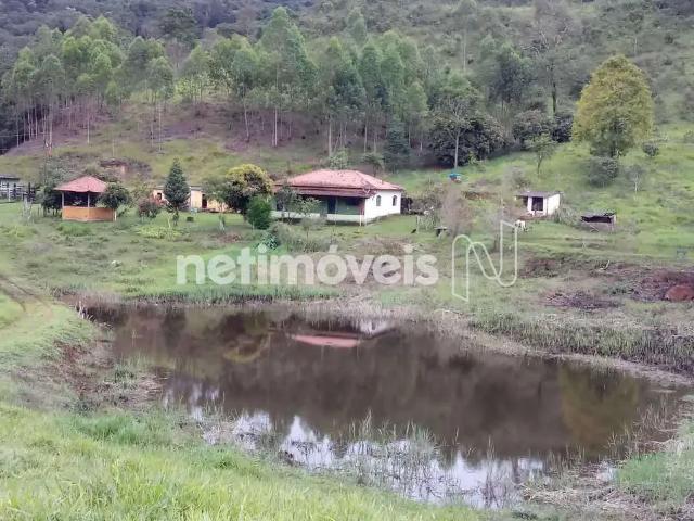 Sítio e chácara venda em Região Geográfica Imediata de Itabira, Itabira
