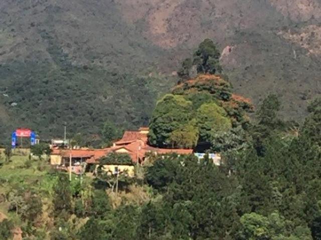 Sítio e chácara venda em Região Geográfica Imediata de Santa Bárbara - Ouro Preto, Itabirito