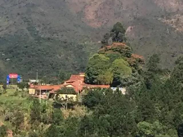 Sítio e chácara venda em Região Geográfica Imediata de Santa Bárbara - Ouro Preto, Itabirito