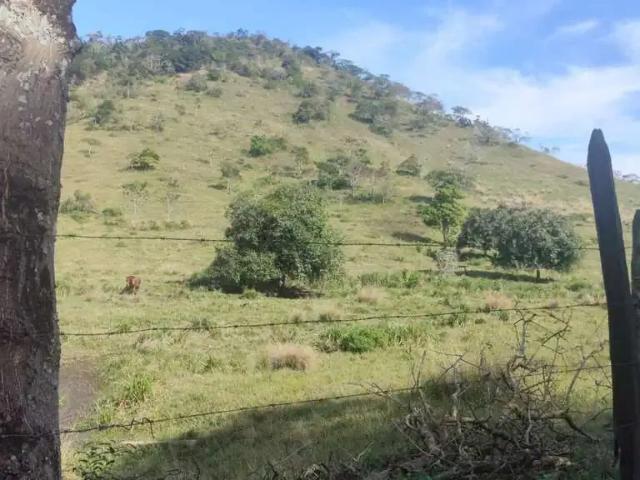 Sítio e chácara venda em Região Geográfica Imediata do Rio de Janeiro, Região Metropolitana do Rio de Janeiro