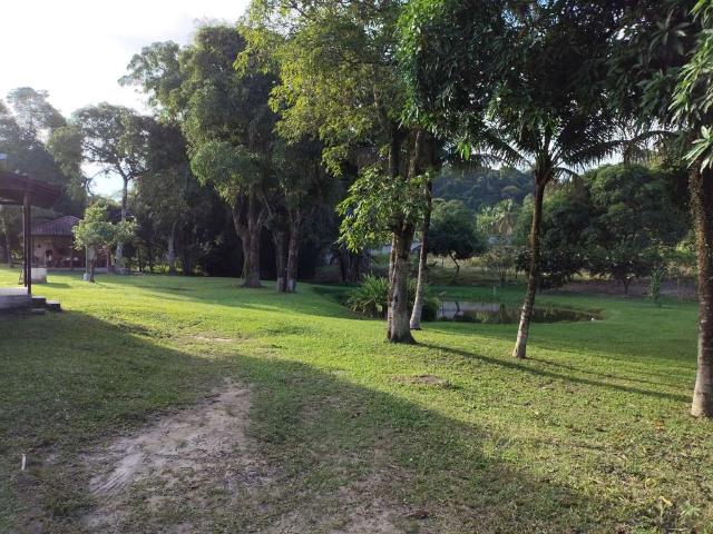Sítio e chácara venda em Região Geográfica Imediata do Rio de Janeiro, Região Metropolitana do Rio de Janeiro
