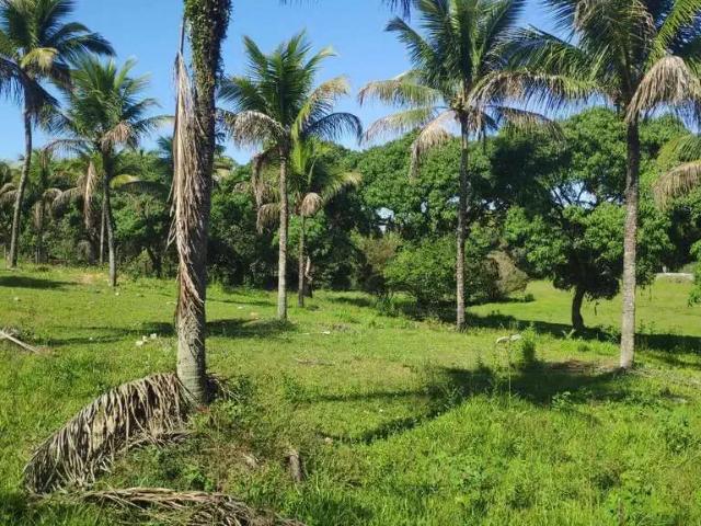 Sítio e chácara venda em Região Geográfica Imediata do Rio de Janeiro, Região Metropolitana do Rio de Janeiro