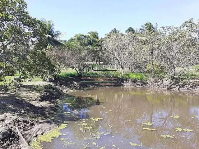 Sítio e chácara venda em Região Geográfica Imediata do Rio de Janeiro, Região Metropolitana do Rio de Janeiro