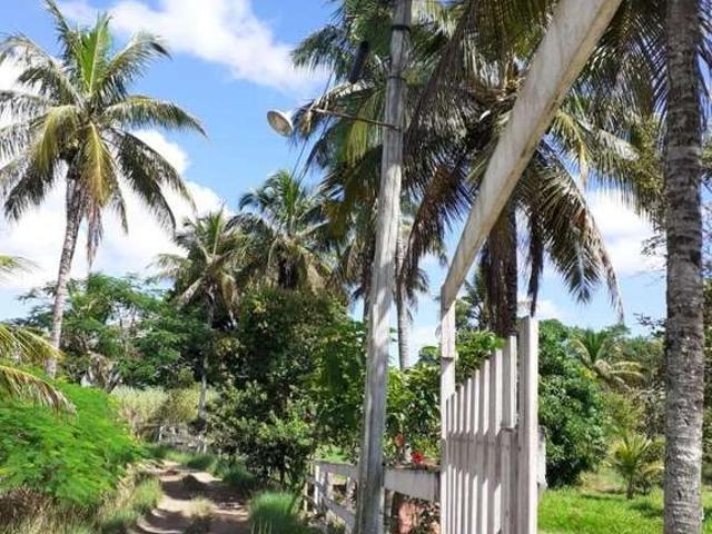 Sitio venda em Itaboraí, Perobas