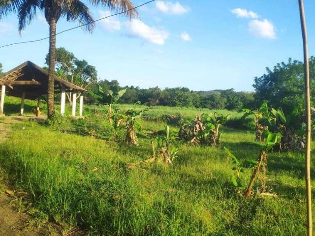 Sitio venda em Itaboraí, Perobas