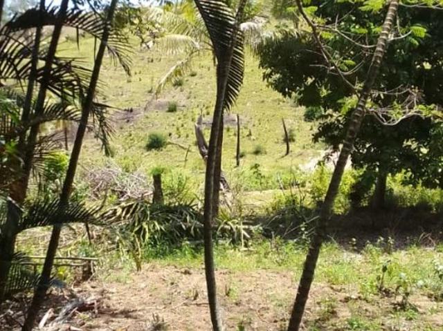 Sítio e chácara venda em Itaboraí, Região Geográfica Intermediária do Rio de Janeiro