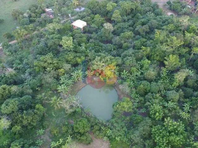 Sítio e chácara venda em Região Geográfica Imediata de Ilhéus – Itabuna, Itabuna