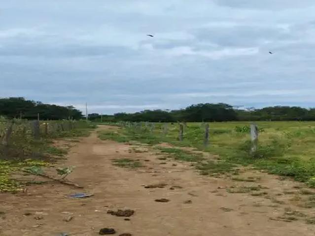 Sítio e chácara venda em Região Geográfica Imediata de Januária, Itacarambi