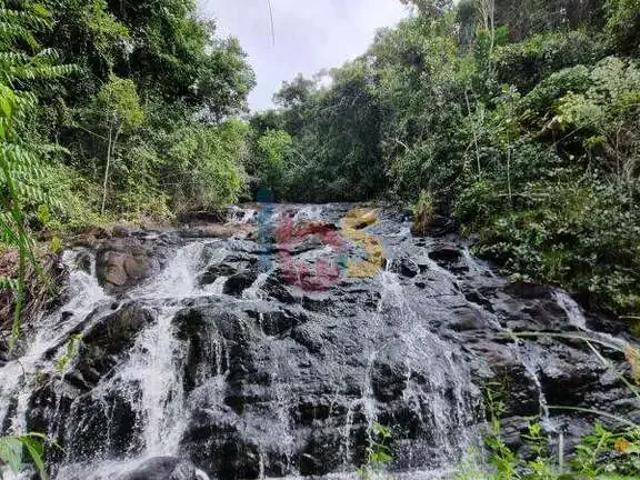 Sítio e chácara venda em Região Geográfica Imediata de Ilhéus – Itabuna, Itacaré