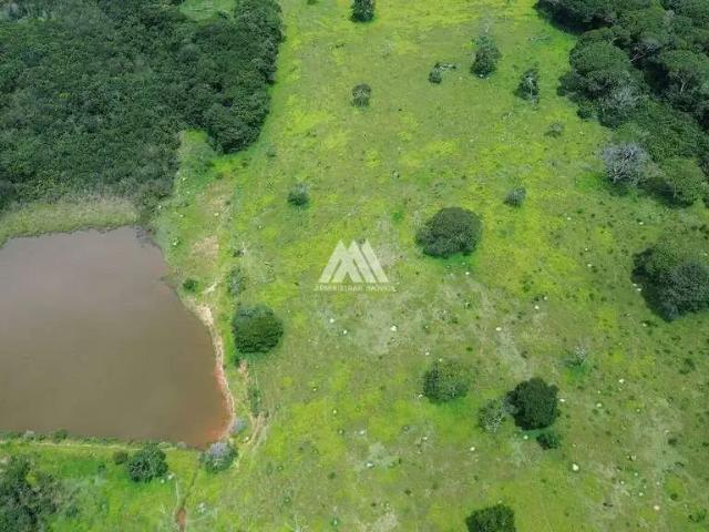 Sítio e chácara venda em Região Geográfica Imediata de Oliveira, Região Metropolitana de Belo Horizonte