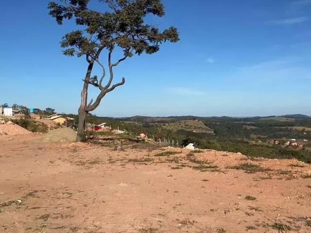 Sítio e chácara venda em Região Geográfica Imediata de Oliveira, Região Metropolitana de Belo Horizonte