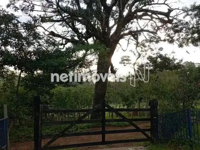 Sítio e chácara venda em Região Geográfica Imediata de Oliveira, Região Metropolitana de Belo Horizonte