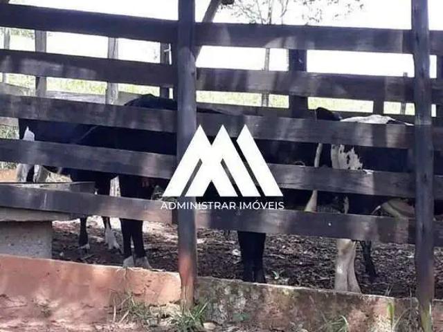 Sítio e chácara venda em Região Geográfica Imediata de Oliveira, Região Metropolitana de Belo Horizonte