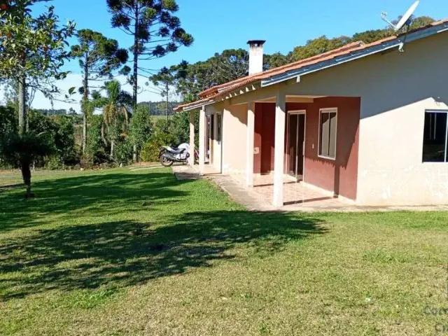 Sítio e chácara venda em Região Geográfica Imediata de Mafra, Itaiópolis