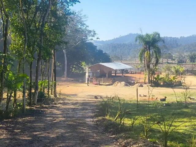 Sítio e chácara venda em Região Geográfica Imediata de Itajaí, Itajaí