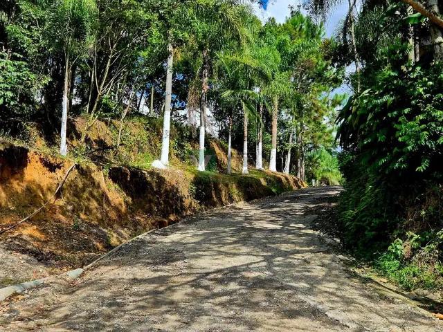 Sítio e chácara venda em Região Geográfica Imediata de Itajaí, Itajaí